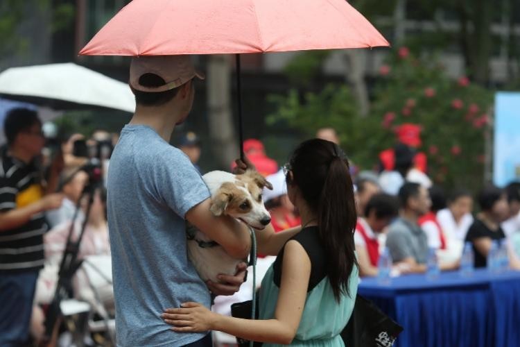 深圳官方开设宠物领养区有市民们冒雨来签约当铲屎官