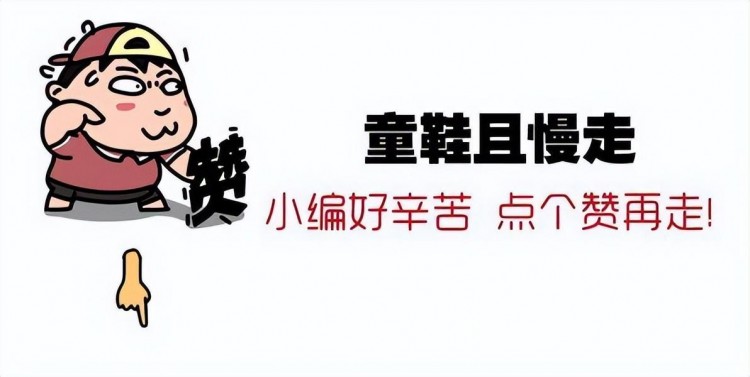 中华田园犬为什么越来越受欢迎这7点实在太优秀了！