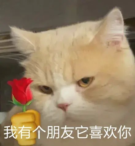 为爱鼓掌时猫为啥跟着铲屎的一起扭腰